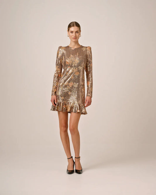 Sequins Mini Dress Night Garden